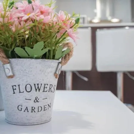 La Mas Coqueta, En El Adn De Cadiz, Cádiz